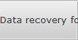 Data recovery for Deale data